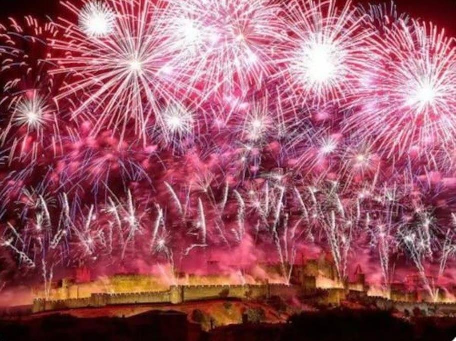 Dame Carcas Daire Carcassonne Dış mekan fotoğraf